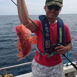 ARCADIAⅡ (アルカディアⅡ) 釣果