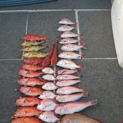 ARCADIAⅡ (アルカディアⅡ) 釣果