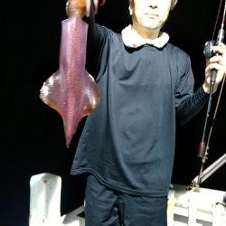 LUSTER『ラスター』 釣果