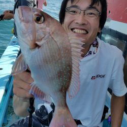 みやけ丸 釣果