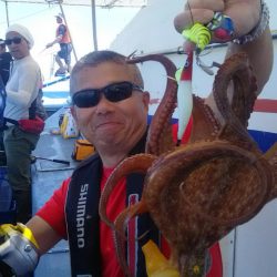 ヤザワ渡船 釣果