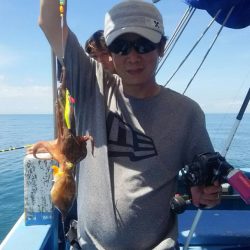 ヤザワ渡船 釣果