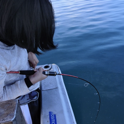 ブルースフィッシングサービス 釣果