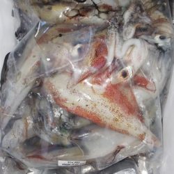 第二龍勢丸 釣果