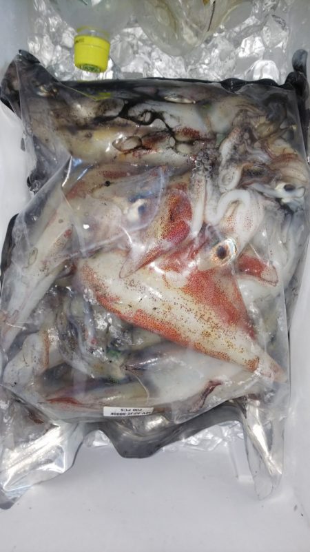 第二龍勢丸 釣果