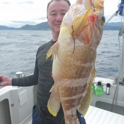 ARCADIAⅡ (アルカディアⅡ) 釣果