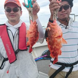 ARCADIAⅡ (アルカディアⅡ) 釣果