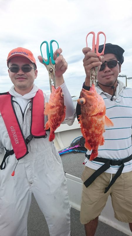 ARCADIAⅡ (アルカディアⅡ) 釣果