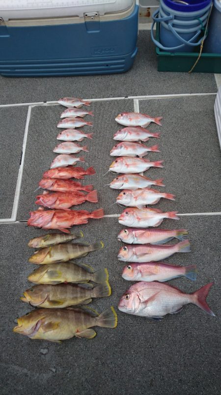 ARCADIAⅡ （アルカディアⅡ） 釣果…