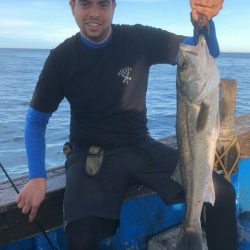 海龍丸(石川) 釣果