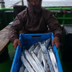 小島丸 釣果