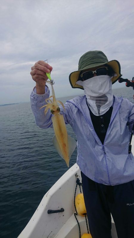 きずなまりん 釣果