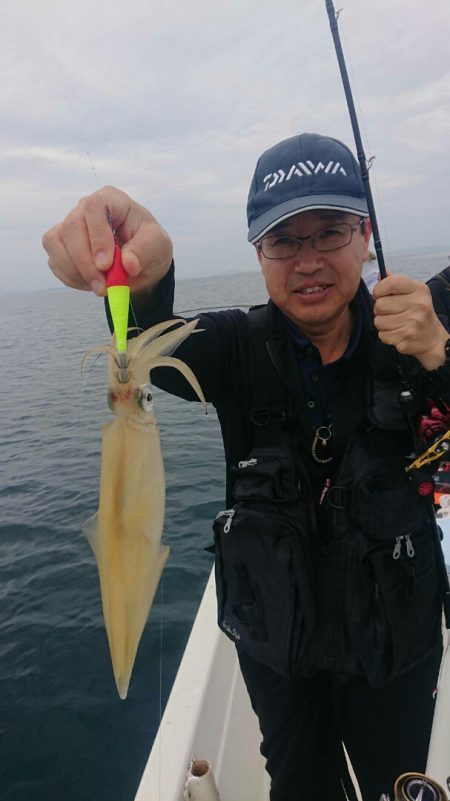 きずなまりん 釣果