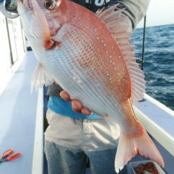 新幸丸 釣果