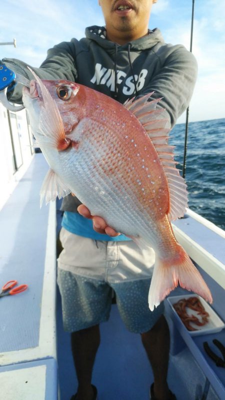 新幸丸 釣果