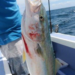 新幸丸 釣果