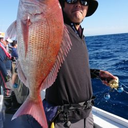 だて丸 釣果