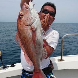 ARCADIAⅡ （アルカディアⅡ） 釣果