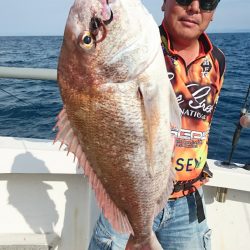 ARCADIAⅡ （アルカディアⅡ） 釣果