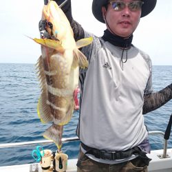 ARCADIAⅡ （アルカディアⅡ） 釣果