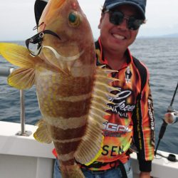 ARCADIAⅡ （アルカディアⅡ） 釣果