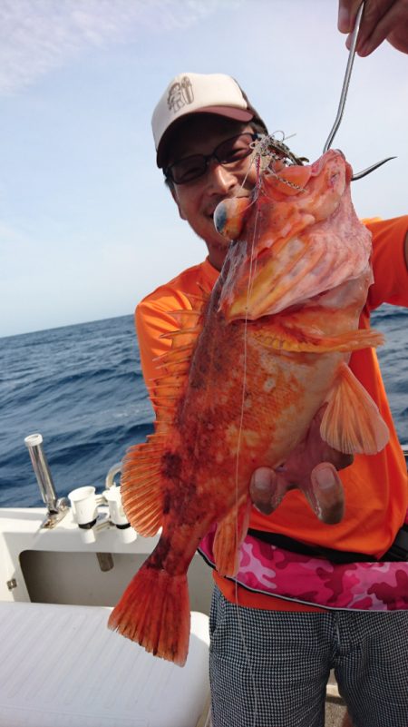 ARCADIAⅡ （アルカディアⅡ） 釣果