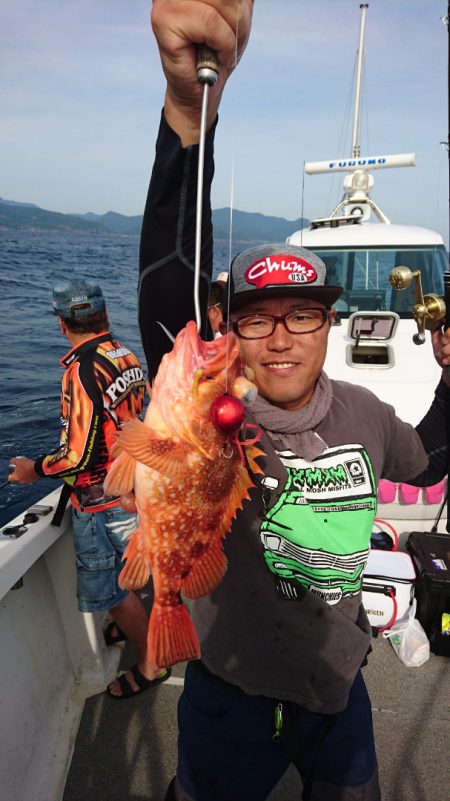 ARCADIAⅡ （アルカディアⅡ） 釣果