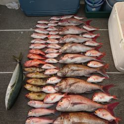 ARCADIAⅡ （アルカディアⅡ） 釣果