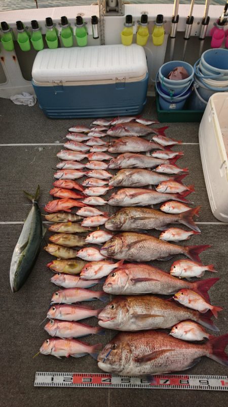 ARCADIAⅡ （アルカディアⅡ） 釣果…