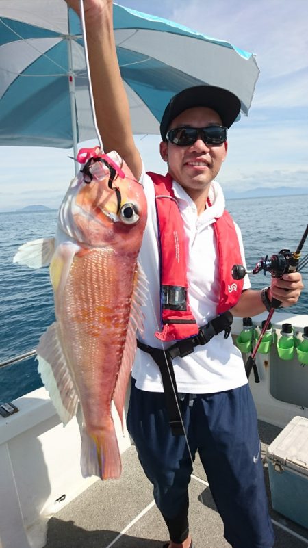 ARCADIAⅡ (アルカディアⅡ) 釣果