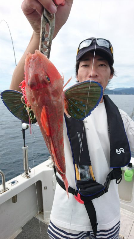 ARCADIAⅡ (アルカディアⅡ) 釣果