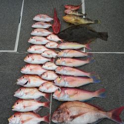 ARCADIAⅡ (アルカディアⅡ) 釣果