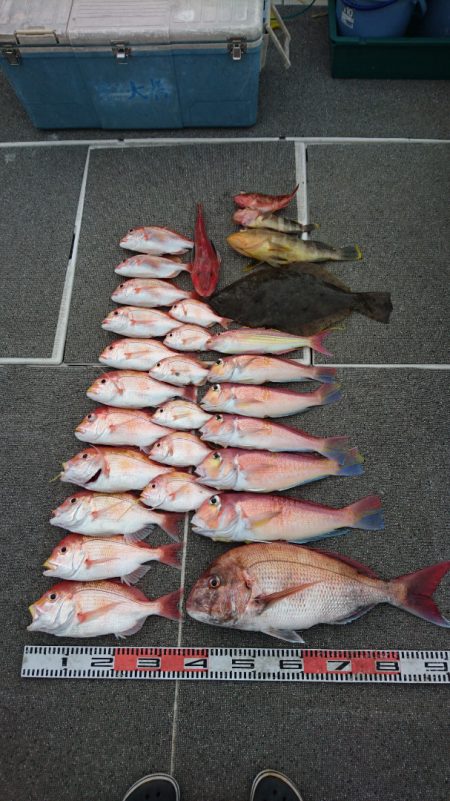 ARCADIAⅡ （アルカディアⅡ） 釣果…