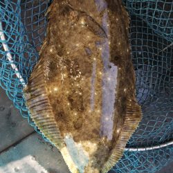 第二龍勢丸 釣果