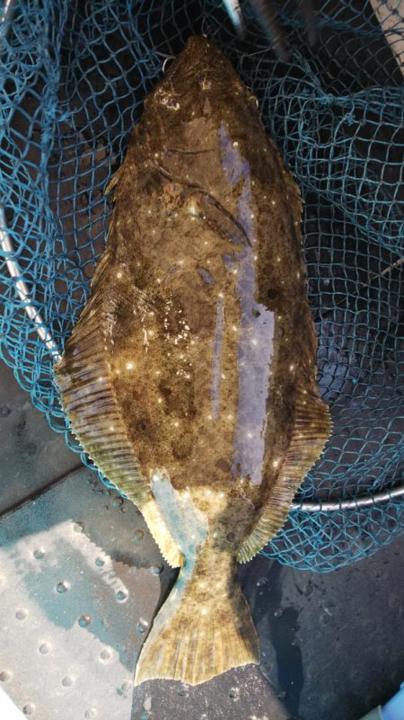 第二龍勢丸 釣果