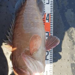 第二龍勢丸 釣果