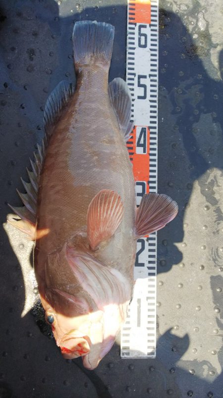 第二龍勢丸 釣果