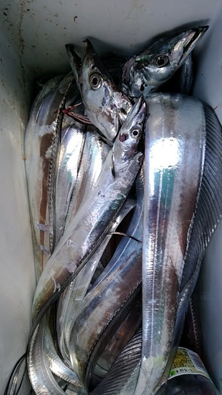 小島丸 釣果