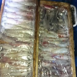 海龍丸（石川） 釣果