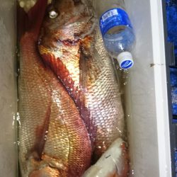 海龍丸（石川） 釣果