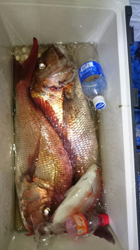 海龍丸（石川） 釣果