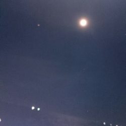 海龍丸（石川） 釣果