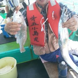 小島丸 釣果