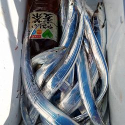 みやけ丸 釣果