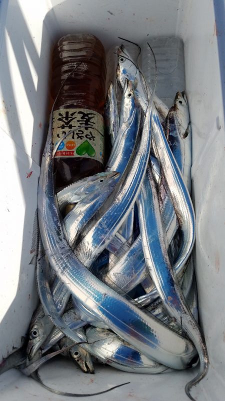 みやけ丸 釣果