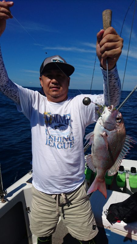 ARCADIAⅡ (アルカディアⅡ) 釣果