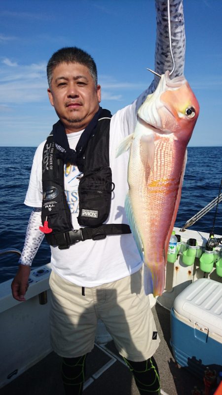 ARCADIAⅡ (アルカディアⅡ) 釣果