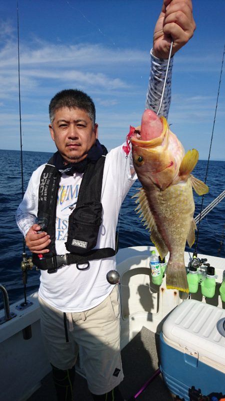 ARCADIAⅡ (アルカディアⅡ) 釣果