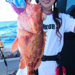 ARCADIAⅡ (アルカディアⅡ) 釣果