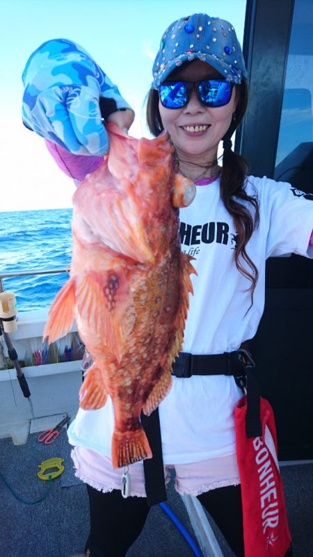 ARCADIAⅡ (アルカディアⅡ) 釣果